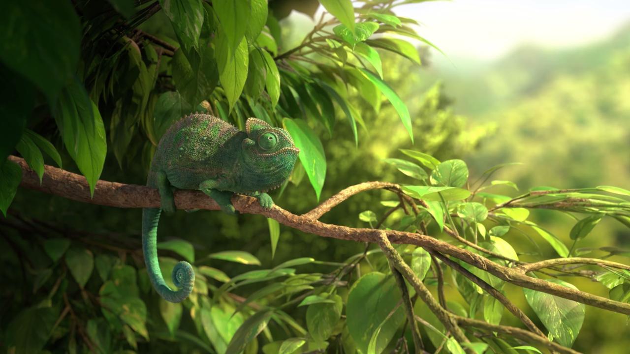 Chameleon