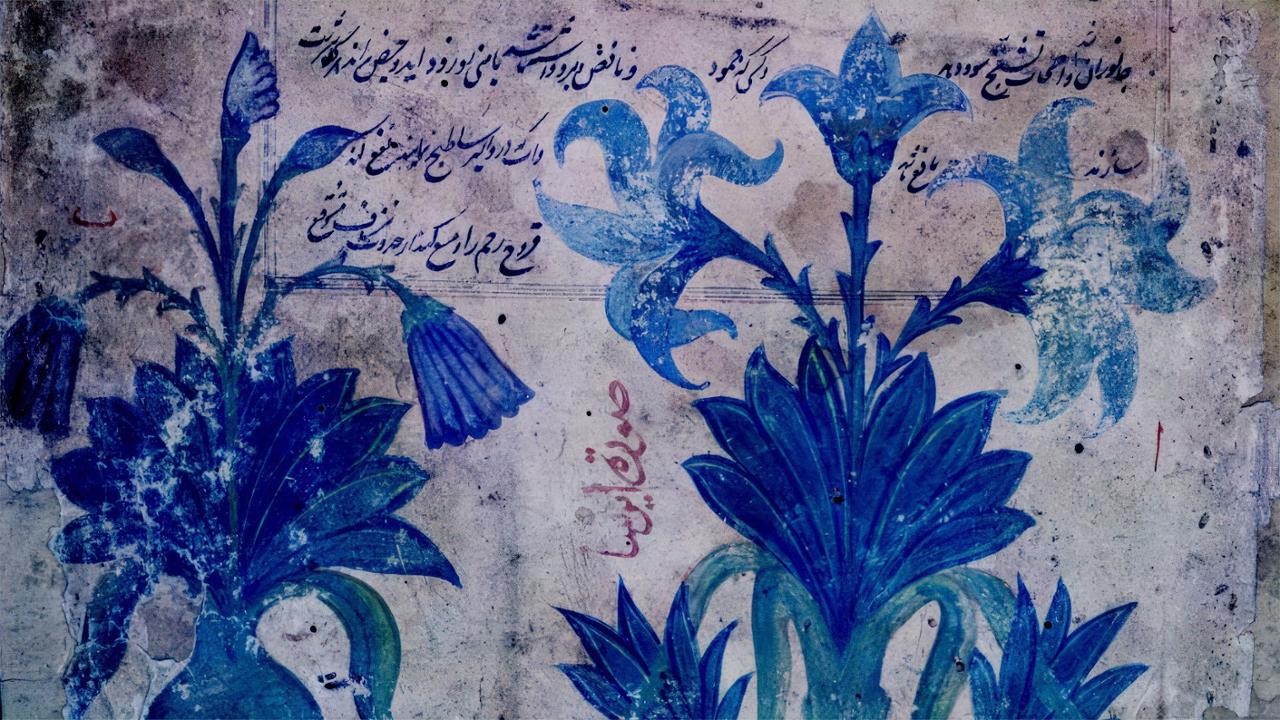 Daria's Night Flowers