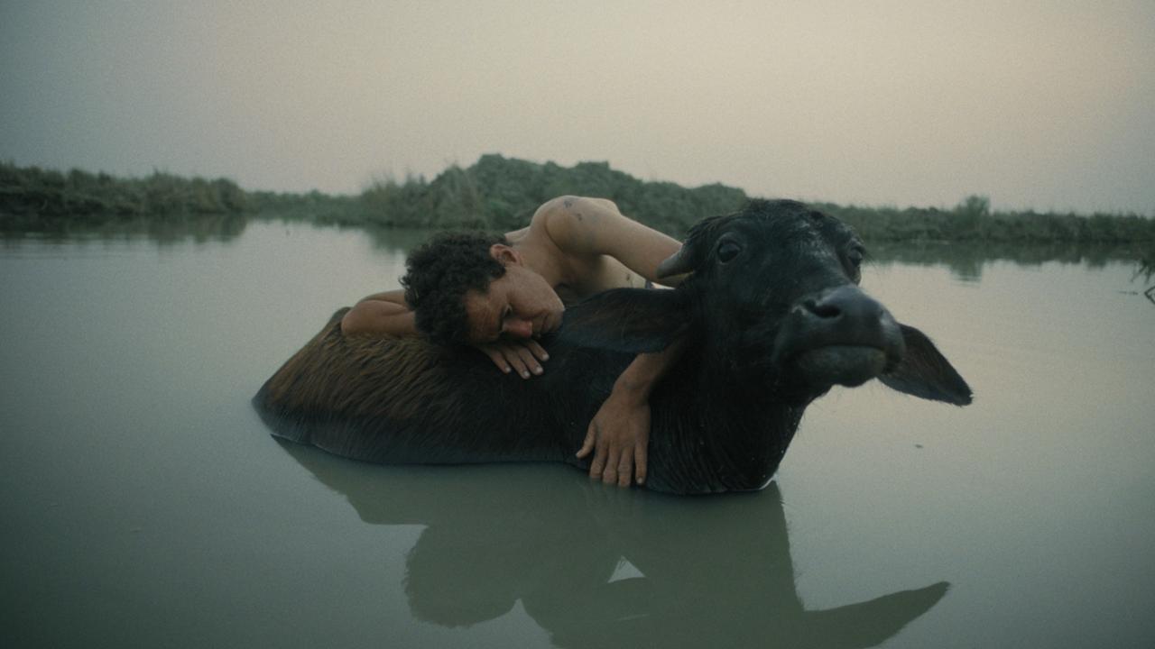 Ten Films in the LABO Competition Boldly Venture Beyond the Beaten Paths of Cinematic Expression