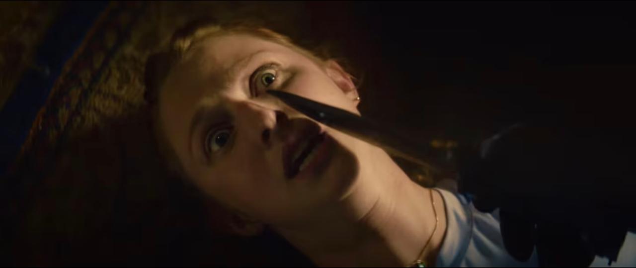 The Last Thing She Saw