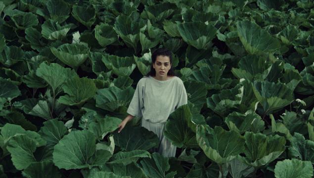 National Competition 3