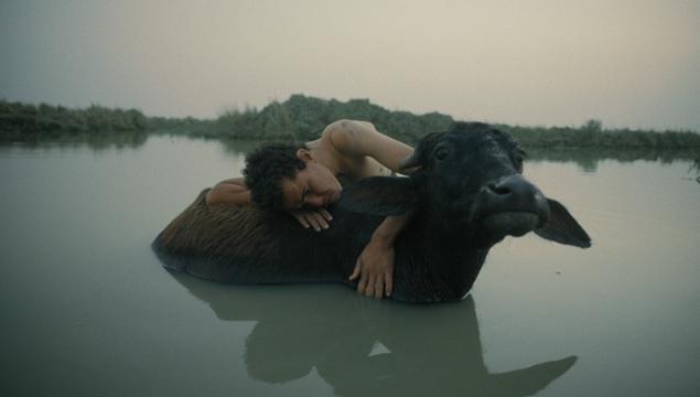 Ten Films in the LABO Competition Boldly Venture Beyond the Beaten Paths of Cinematic Expression